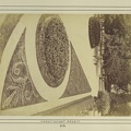 "Margitszigeti parkrészlet. A felvétel 1880-1890 között készült." A kép forrását kérjük így adja meg: Fortepan / Budapest Főváros Levéltára. Levéltári jelzet: HU.BFL.XV.19.d.1.06.030