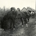 lovak abrakoltatása a magyar csapatok bevonulása idején.