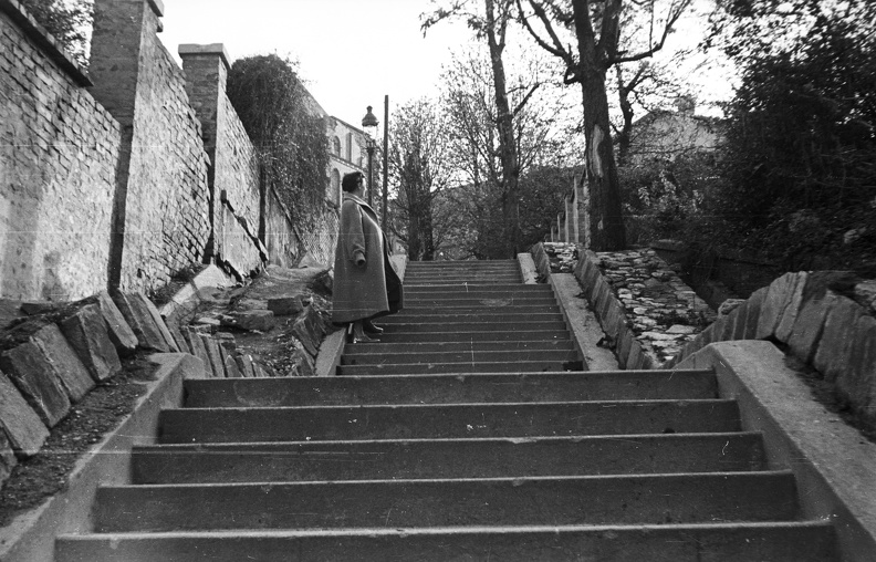 a Linzi lépcső a Szabó Ilonka utcától a Vár felé nézve.