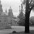 Királyi Palota (Wawel).