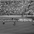Ferencváros (balra) - Újpesti Dózsa (jobbra) meccs.