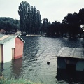 árvíz a Sugovicán, szemben a Petőfi-sziget.