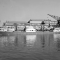 Szabadkikötő I. medence, szemben a "TISZA" Duna-tengerjáró.