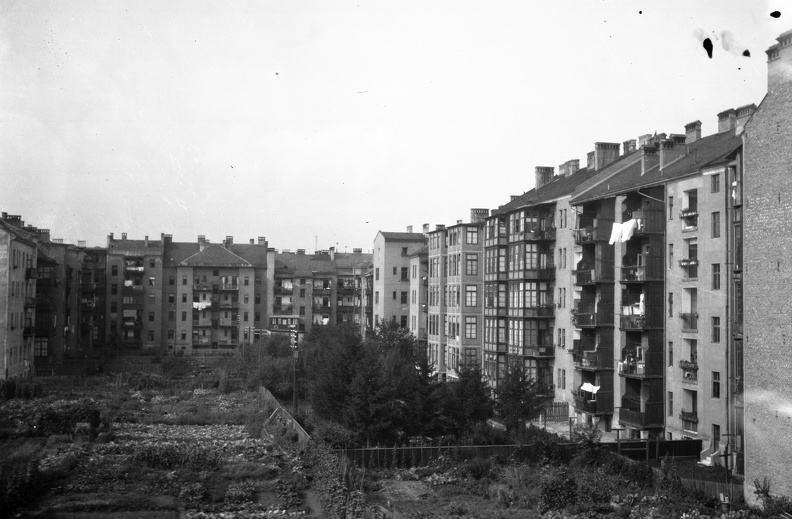 fotok 37087
