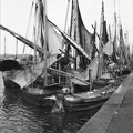 fotok 37025