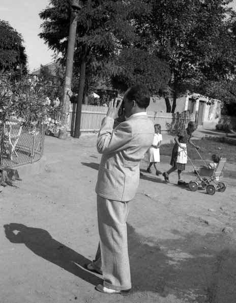 fotok_42194.jpg