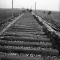 fotok 42292