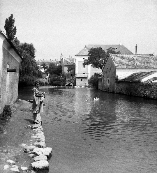 fotok_44210.jpg