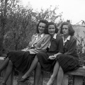 fotok 35472
