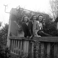 fotok 35473