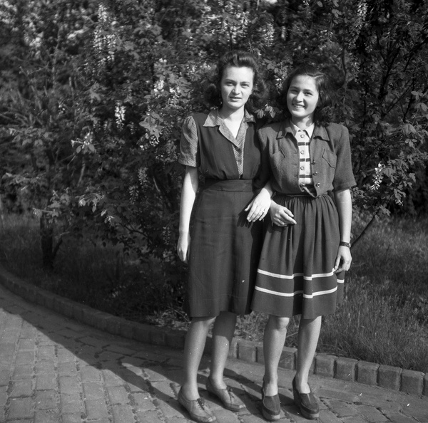 fotok_35476.jpg