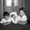 fotok 42422