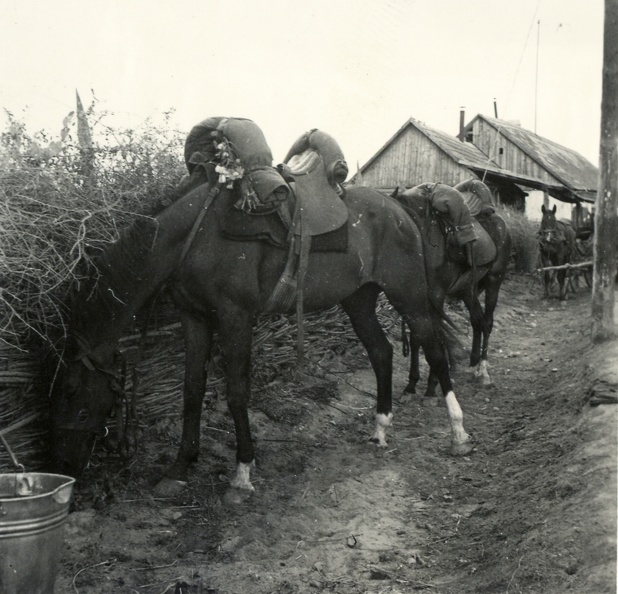 lovak abrakoltatása a magyar csapatok bevonulása idején.