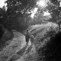 fotok 42850
