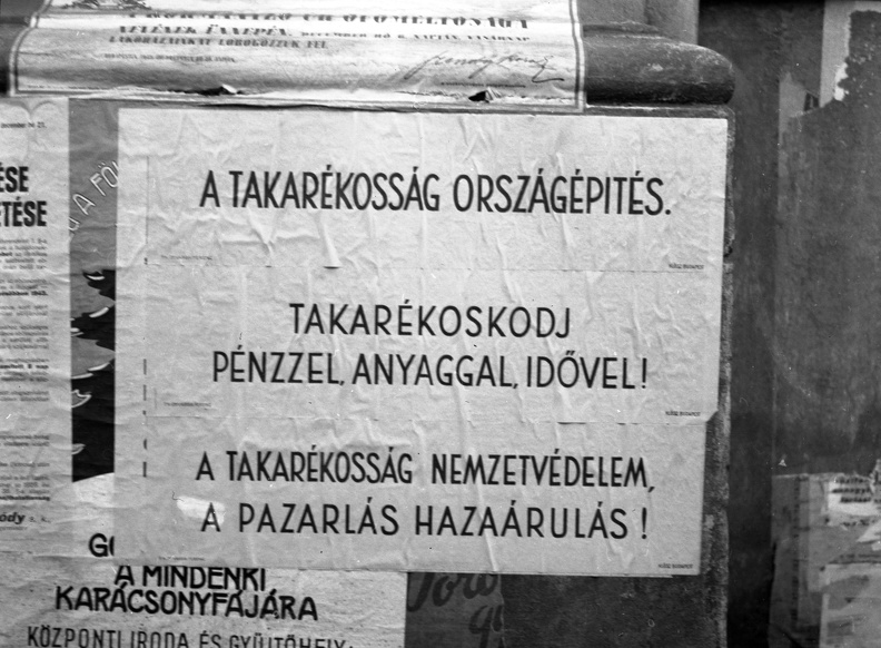 fotok_43017.jpg