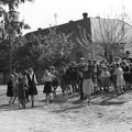 fotok 48928