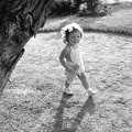 fotok 3735