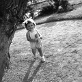 fotok 3736