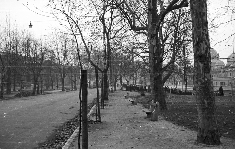 Olof Palme (Vorosilov) sétány, jobbra a Műjégpálya. 1956 december 4-i Nőtüntetés.