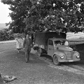 A kőszegi MÁV Nevelőintézet diákjainak kirándulása Cákon (Vas-megye). IFA-Framo típusú, NDK gyártmányú teherautó.