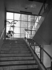 Kútvölgyi úti Központi Állami Kórház (ma Semmelweis Egyetem Kútvölgyi Klinikai Tömb), lépcsőház.