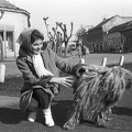 Hősök parkja, balra a Dózsa György utca, szemben a Szabadság utca.