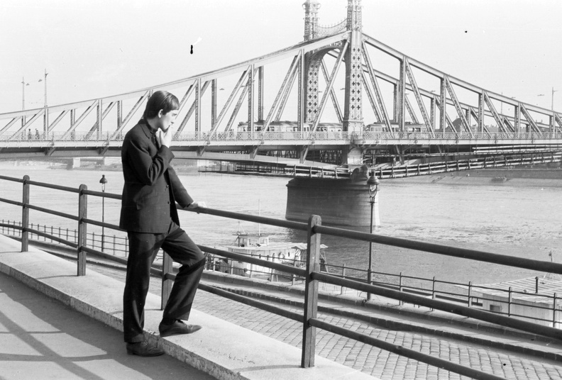 Belgrád rakpart, háttérben a Szabadság híd.