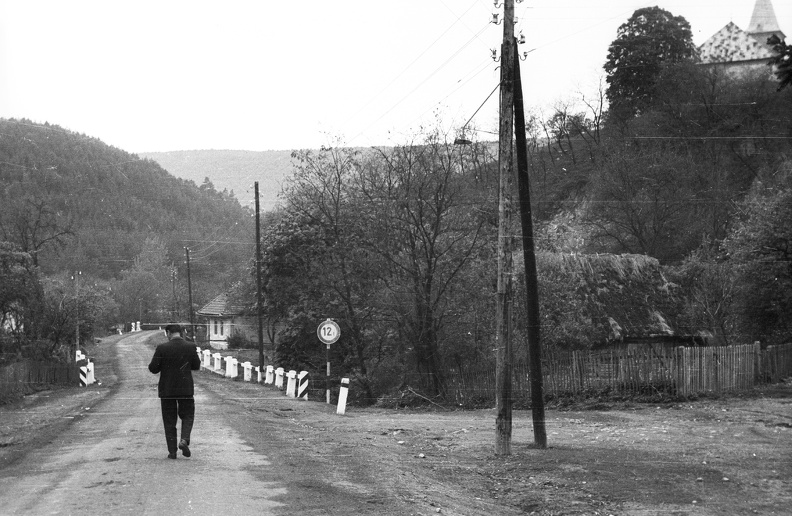 fotok_37125.jpg