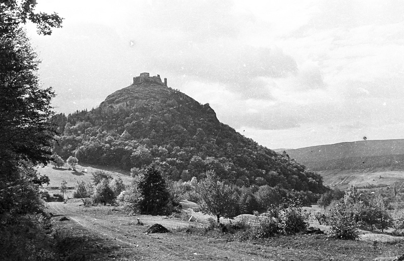 fotok_37126.jpg