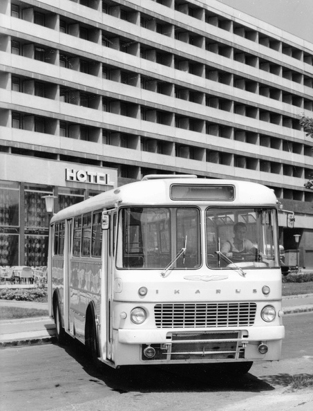 fotok_41313.jpg