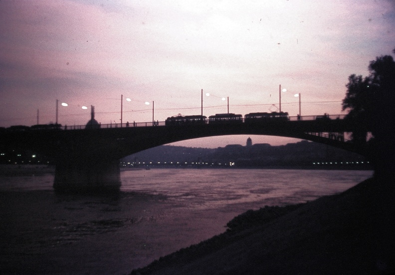 Margit híd, háttérben a budai Vár a Margitsziget pesti oldaláról nézve.