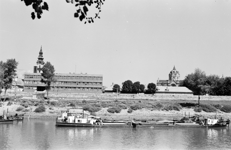 Tiszapart, háttérben a Szentháromság templom tornya és a Damjanich János Múzeum szolnoki kiállítóterme, korábban zsinagóga.