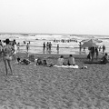 fotok 25836