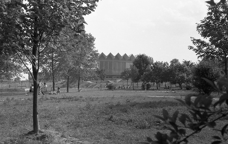 fotok_36644.jpg