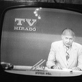 Ipper Pál a TV Híradó főmunkatársa, külpolitikai kommentátor.