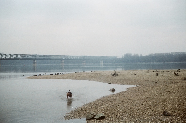 az Újpesti (Északi összekötő) vasúti híd, az Óbudai sziget északi csúcsától.